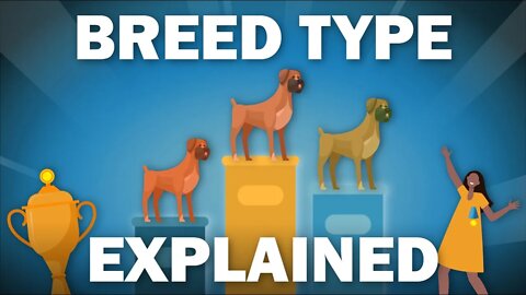 What is Breed Type and How Do Breed Standards Change for Dogs?