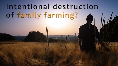 Intentional destruction of family farming? | www.kla.tv/22828