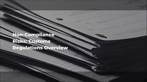 What steps should be taken to avoid consequences of non-compliance with customs regulations?