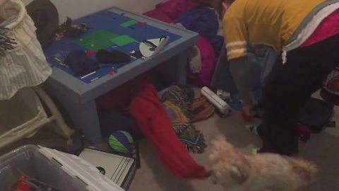 Funny Dog Hates Doing Chores