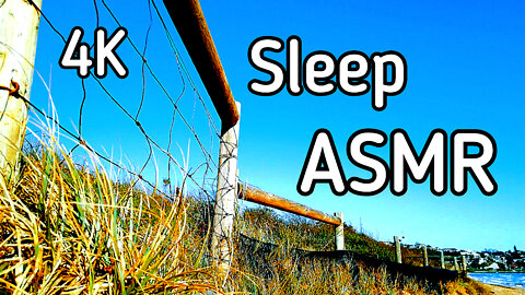 4K Sleep N Relax to Wind in the Sand Dunes at the Seaside ASMR