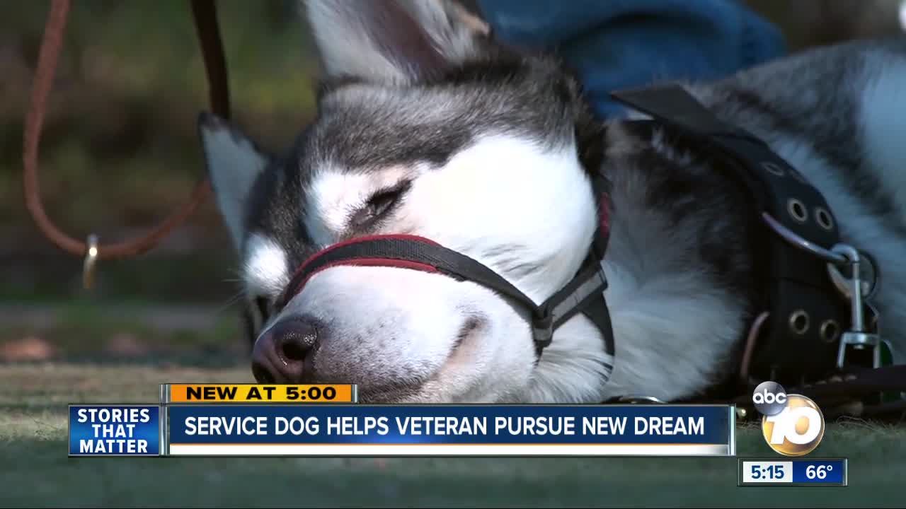 Service dog helps Navy veteran pursue new dreams after medical diagnosis