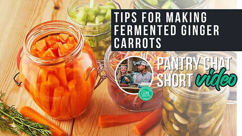 Tips for Making Fermented Ginger Carrots | Pantry Chat Podcast Short