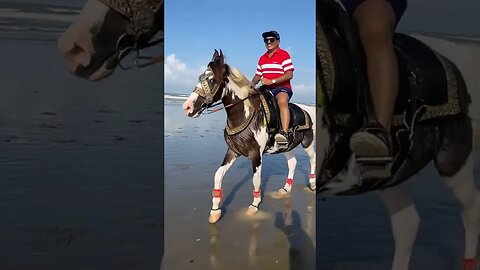 The prince rides a horse on the sea beach