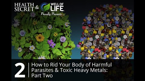 Part 2 - How To Rid Your Body of Harmful Parasites & Toxic Heavy Metals