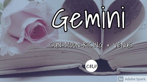 GEMINI "THE SOULMATE"