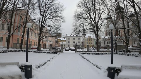 Governor's Garden in Winter