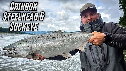 Columbia River Kings, STEELHEAD, & Sockeye FISHING! (All 3 Species CAUGHT!)