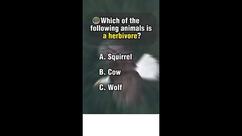 Animal quiz questions