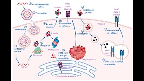 MRNA VACCINE PAT