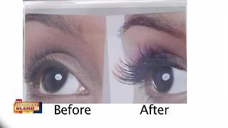 Amazing Lash Studio in Southwest Florida