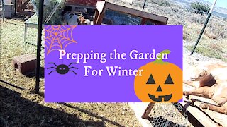 Prepping the Garden for Winter