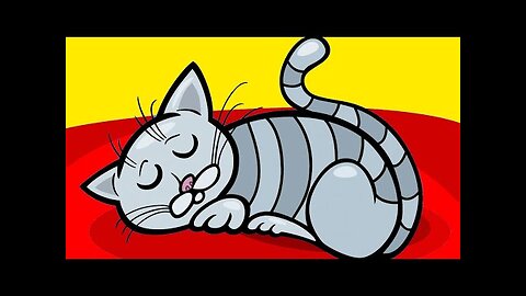 Why Cats Love Sleeping On Your Bed!