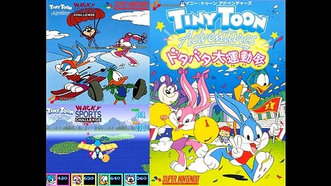 Tiny Toon Adventures Wacky Sports Challenge (Super Nintendo) Original Soundtrack - Birdman Contest
