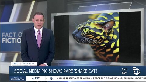 Fact or Fiction: Viral image shows 'snake cat?'