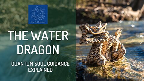 The Waterdragon : Quantum Soul Guidance explained