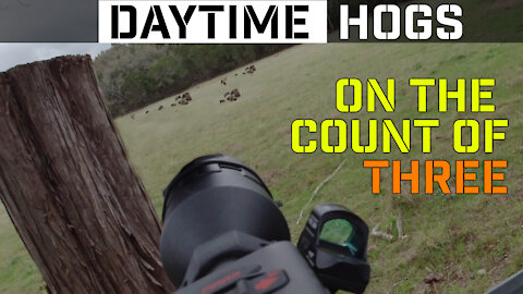 On the count of three | Texas Feral Hog Hunting