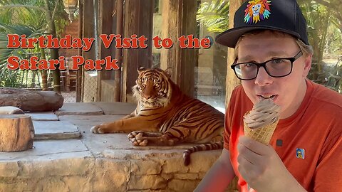 Birthday visit at the Safari Park