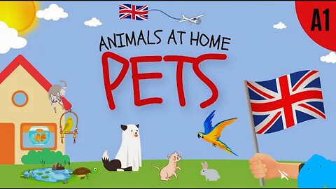 Pets Vocabulary Animals at home English ESL Lesson