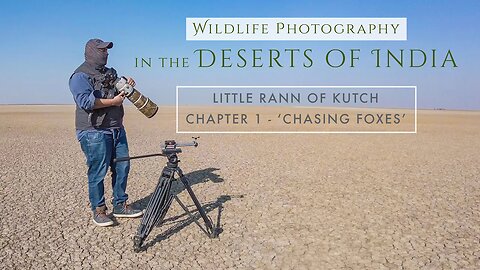 Wildlife Photography in the Little Rann of Kutch | DESERTS OF INDIA Chapter 1 - CHASING FOXES