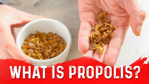 The Unique Benefits of Propolis (Bee Glue) – Dr.Berg