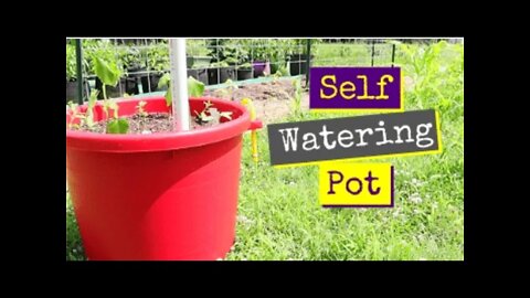 The Best Self Watering Pot Design