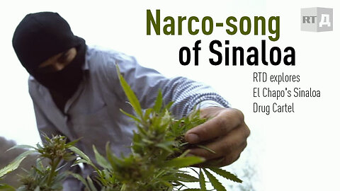Narco-song of Sinaloa | RT Documentary
