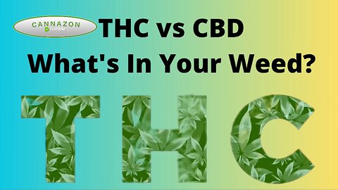 THC vs. CBD: Understanding What's in Your Weed – Cannazon Informative Videos