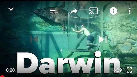 5 Things to do in Darwin, NT