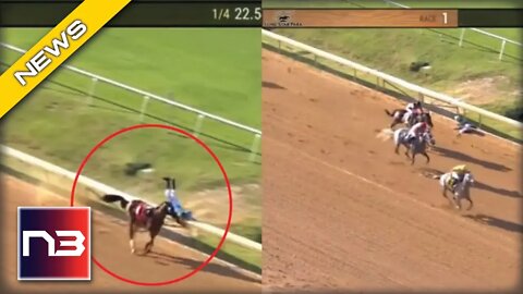 Heavenly Trump Wins Race After Leader Crashes Head First Into Rail In Worst Racing Loss Ever