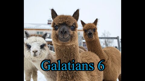 Read the Bible with me. Galatians 6