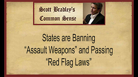 States are Banning "Assault Weapons" and Passing "Red Flag Laws."