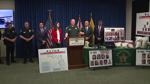 41 members of Bloods-affiliated Sex Money Murder gang arrested in Florida