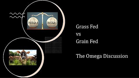 Grass Fed Vs Grain Fed Beef & The Omega Ratio