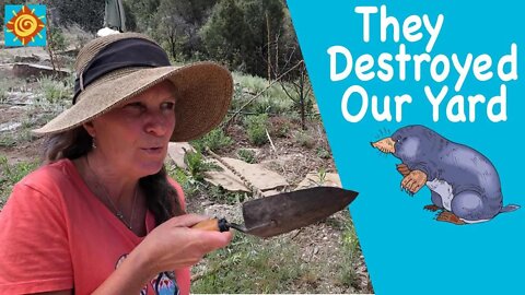 They DESTROYED Our GARDEN! | EP 4 Starting Over | Building Square Foot Gardens at our Off-Grid Home