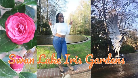 Swan Lake Iris Gardens | Sumter, SC | can’t believe we seen them 👀