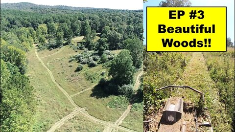EP #3 - 38 Acre Southern Illinois Investment Property. Bush Hogging new trails and roads with CTL