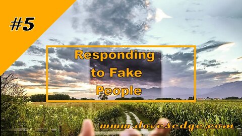 Dove's Edge Episode 5: Responding to Fake People, Matthew 7:21-29, Matthew 12:22-28, & Romans 8:16