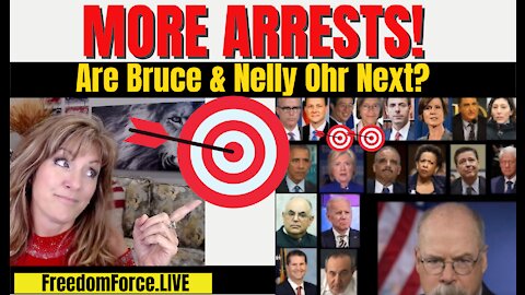 11-14-21   More Arrests! Are Bruce & Nelly Ohr next? Millian Framed! FBI outlaws/James OKeefe