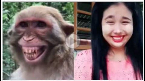 Seeing the smile of the girl, the monkey is also smiling top funny video