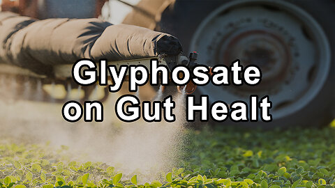 The Alarming Impact of Glyphosate on Gut Health and Mitochondrial Function - Stephanie Seneff, Ph.D