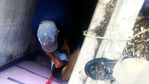 Contractors Dismantle Porch To Rescue Trapped Rabbit