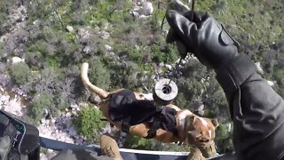 Pima County Sheriff’s Department Search and Rescue
