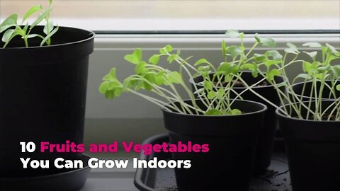 How to Grow Fruits And Veggies at Home🍎🥦☺