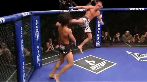 Best MMA Kick Of Deth | Brutal MMA KO