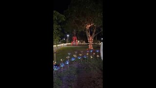 47TH Annual Holiday Nights At The Edison And Ford Winter Estates Livestream Clip 3