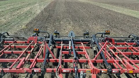 Field Cultivating weeds for our organic farm.