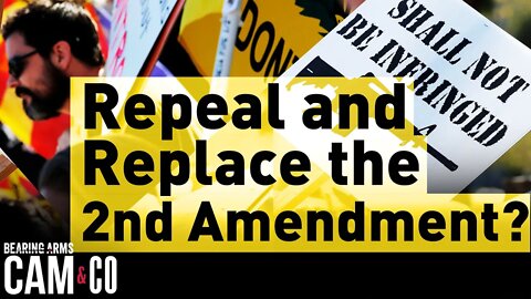 Repeal and Replace the 2nd Amendment?