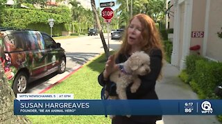 Palm Beach organization creates campaign to rescue animals, save planet