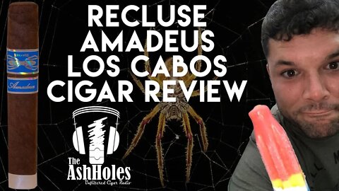 Recluse Los Cabos Cigar Review